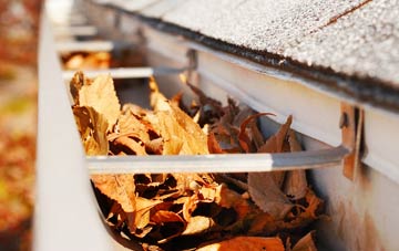 Great Munden gutter cleaning companies